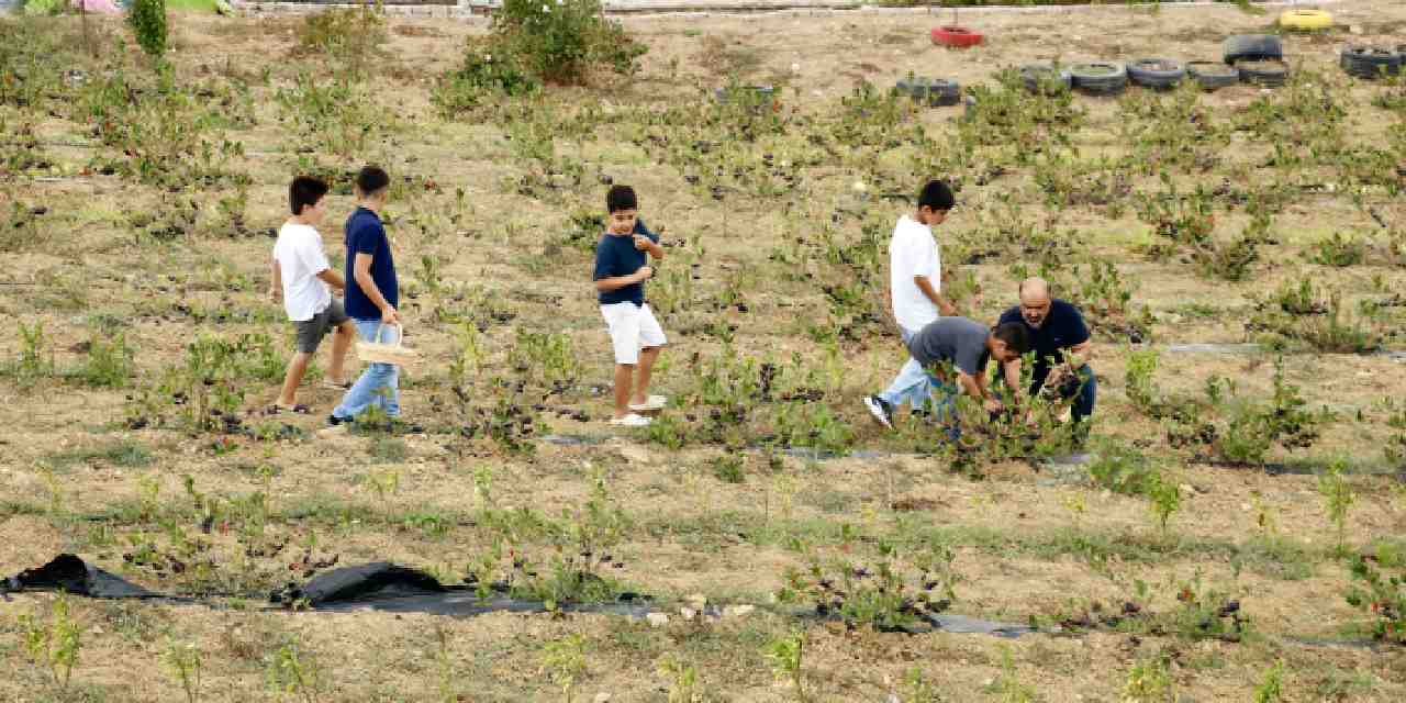 3 yil once yetistirmeye basladi mide rahatsizligina care oldu zMrVjg9x