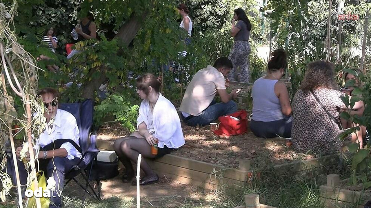 caferagada son yesil alan tepkisi buyuyor BD4Gekuv