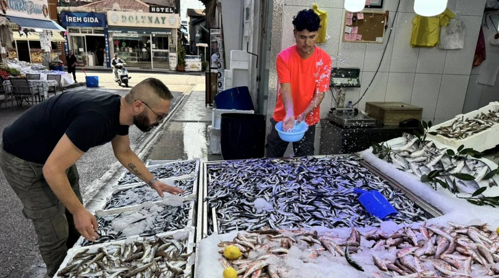 hamsi fiyatlarinda dusus sinyali 87sIUkgv