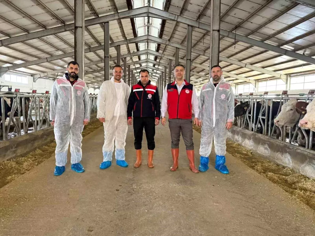 afyonkarahisarda yeni hastaliktan ari isletme sertifikasi XcQilGxI.jpg