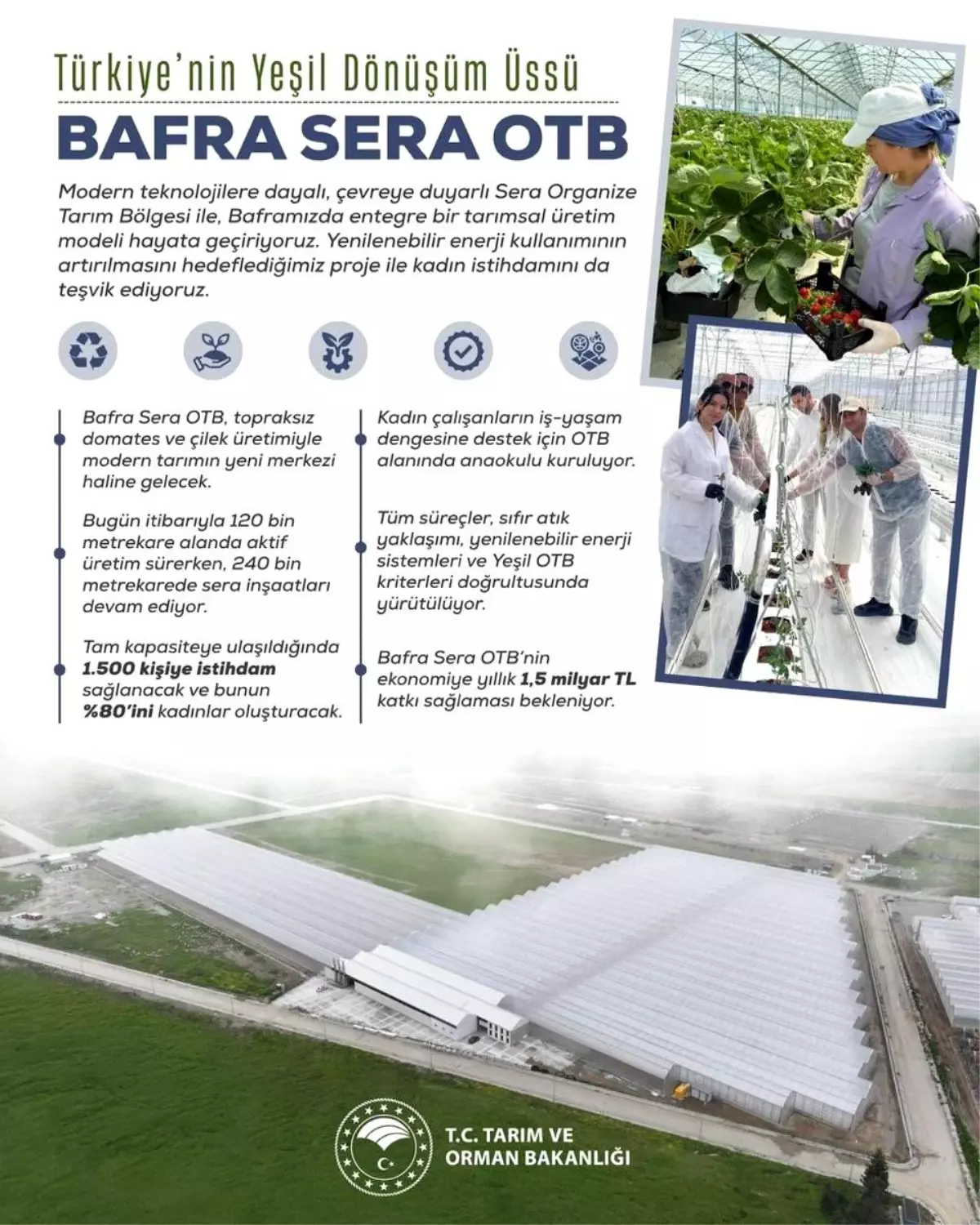 bafra sera organize tarim bolgesi projesi kadin istihdami ve ekonomik katki yRuSCanu.jpg