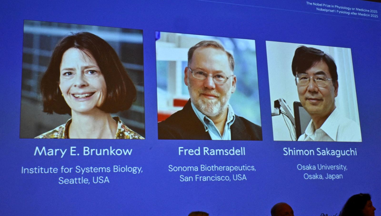 nobeli kazandi kayiplara karisti kimse ona ulasamiyor iLEMRtrv