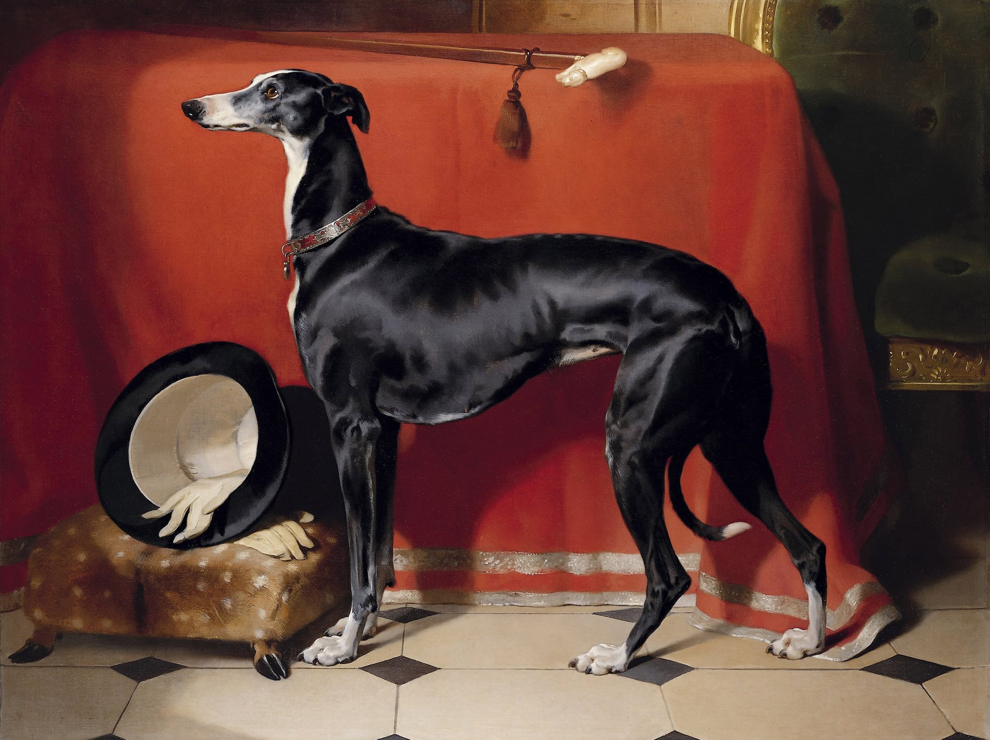 A Favorite Greyhound of Prince Albert