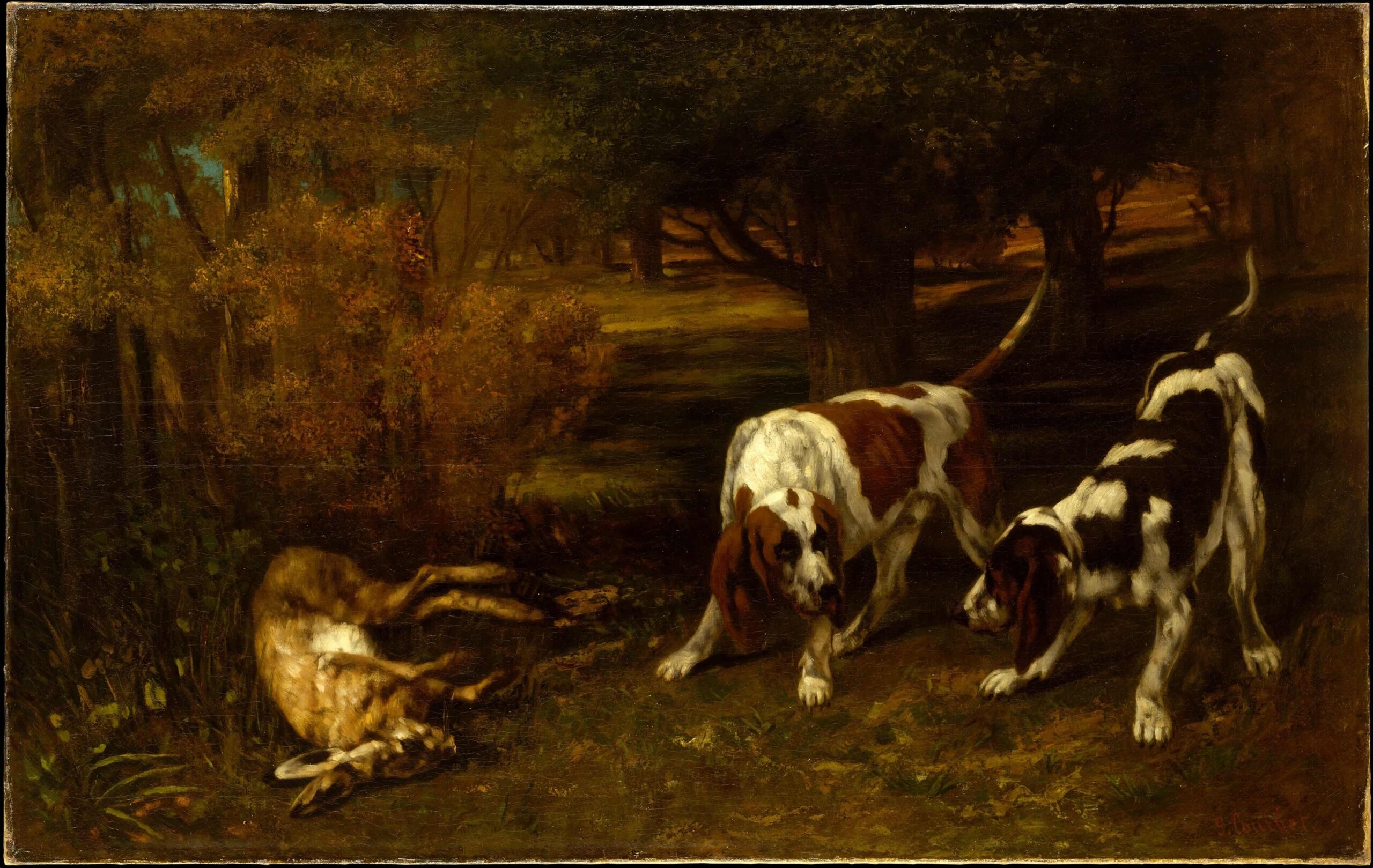 Hunting Dogs With Dead Hare