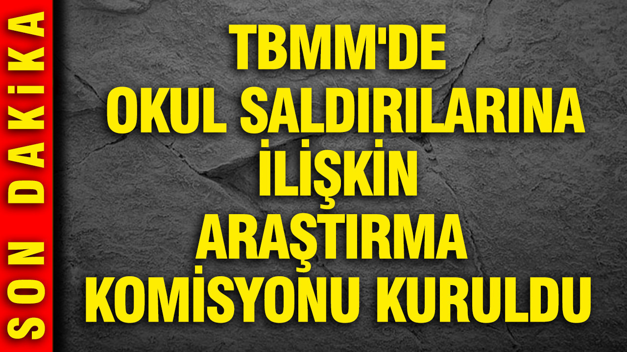 TBMM, Okul Güvenliğini Artırmak İçin Araştırma Komisyonu Oluşturdu