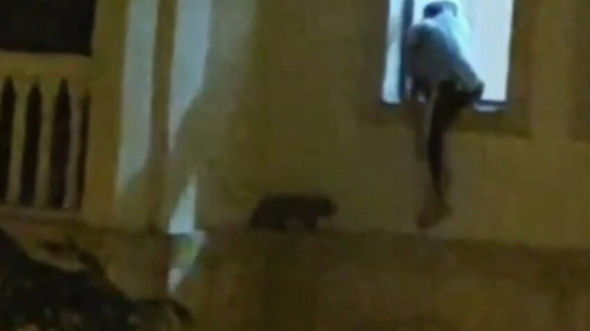 Mardinde yurek isitan anlar mahsur kalan kedi icin seferber oldular TxH5GU5M
