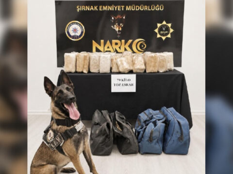 Sirnakta bir tirda 79 kilogram esrar bulundu y8gdHtDu